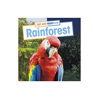 Capstone Global Library Ltd Day and Night in the Rainforest (inbunden, eng)