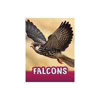 Capstone Global Library Ltd Falcons (inbunden, eng)