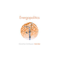 Duke university press Energopolitics (häftad, eng)