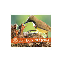 Capstone Global Library Ltd Let's Look at Spring (häftad, eng)