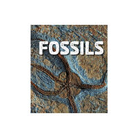 Capstone Global Library Ltd Fossils (häftad, eng)