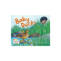 Capstone Global Library Ltd Baby Ducks (häftad, eng)