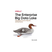 O'Reilly Media The Enterprise Big Data Lake (häftad, eng)