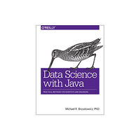 O'Reilly Media Data Science with Java (häftad, eng)