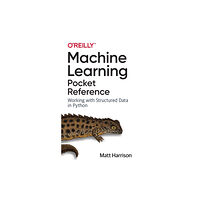 O'Reilly Media Machine Learning Pocket Reference (häftad, eng)