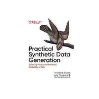 O'Reilly Media Practical Synthetic Data Generation (häftad, eng)