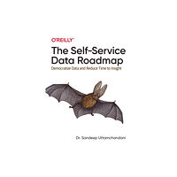 O'Reilly Media The Self-Service Data Roadmap (häftad, eng)