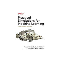 O'Reilly Media Practical Simulations for Machine Learning (häftad, eng)