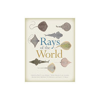 Cornell University Press Rays of the World (inbunden, eng)