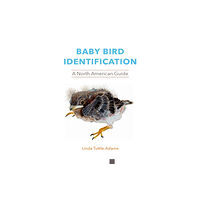 Cornell University Press Baby Bird Identification (häftad, eng)