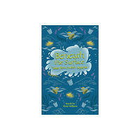 Hachette Learning Reading Planet - Beneath the Surface Tales from Welsh Legend - Level 7: Fiction (Saturn) (häftad, eng)