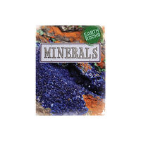 Hachette Children's Group Earth Rocks: Minerals (häftad, eng)