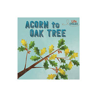 Hachette Children's Group Life Cycles: Acorn to Oak Tree (inbunden, eng)