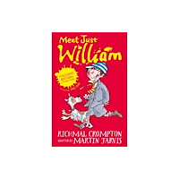 Pan Macmillan William's Birthday and Other Stories (häftad, eng)