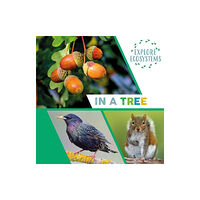 Hachette Children's Group Explore Ecosystems: In a Tree (häftad, eng)