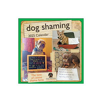 Andrews McMeel Publishing Dog Shaming 2025 Wall Calendar