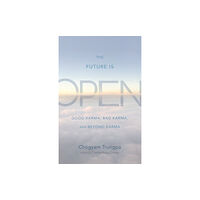 Shambhala Publications Inc The Future Is Open (häftad, eng)