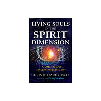 Inner Traditions Bear and Company Living Souls in the Spirit Dimension (häftad, eng)