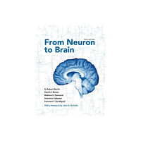 Oxford University Press Inc From Neuron to Brain (inbunden, eng)