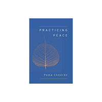 Shambhala Publications Inc Practicing Peace (Shambhala Pocket Classic) (häftad, eng)