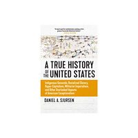 Steerforth Press A Thinker's History of the United States (häftad, eng)