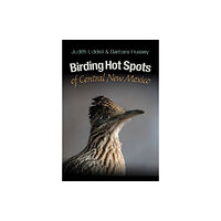 Texas A & M University Press Birding Hot Spots of Central New Mexico (häftad, eng)