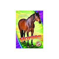 Bellwether Media Horses (inbunden, eng)