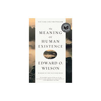 WW Norton & Co The Meaning of Human Existence (häftad, eng)