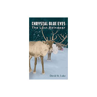 Austin Macauley Publishers LLC Chrystal Blue Eyes (häftad, eng)