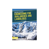 North Star Editions Engineering for Disaster: Engineering for Avalanches and Landslides (häftad, eng)