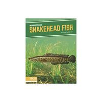 North Star Editions Invasive Species: Snakehead Fish (inbunden, eng)