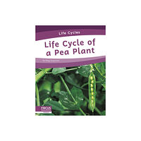 North Star Editions Life Cycles: Life Cycle of a Pea Plant (häftad, eng)