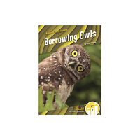 North Star Editions Animal Pranksters: Burrowing Owls (häftad, eng)