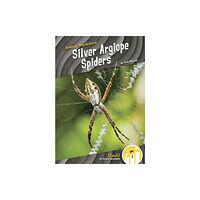 North Star Editions Animal Pranksters: Silver Argiope Spiders (häftad, eng)