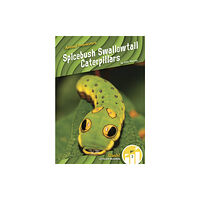 North Star Editions Animal Pranksters: Spicebush Swallowtail Caterpillars (häftad, eng)