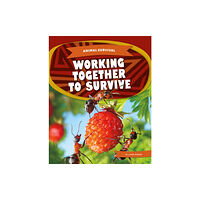 North Star Editions Animal Survival: Working Together to Survive (häftad, eng)