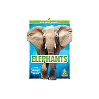 Kaleidoscope Publishing, Inc Elephants (inbunden, eng)