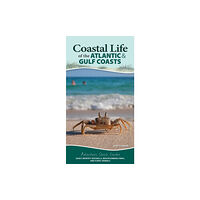 Adventure Publications, Incorporated Coastal Life of the Atlantic and Gulf Coasts (bok, spiral, eng)