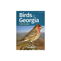 Adventure Publications, Incorporated Birds of Georgia Field Guide (häftad, eng)