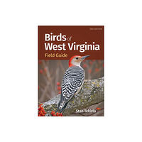 Adventure Publications, Incorporated Birds of West Virginia Field Guide (häftad, eng)