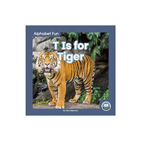 North Star Editions Alphabet Fun: T is for Tiger (inbunden, eng)