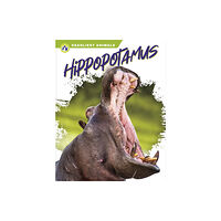 North Star Editions Deadliest Animals: Hippopotamus (inbunden, eng)