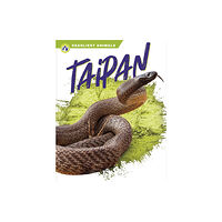 North Star Editions Deadliest Animals: Taipan (inbunden, eng)