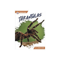 North Star Editions Predators: Tarantulas (inbunden, eng)