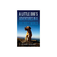 Austin Macauley Publishers LLC A Little Dog's Adventures in a Big Dog's World (häftad, eng)