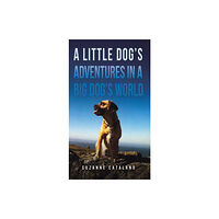 Austin Macauley Publishers A Little Dog's Adventures in a Big Dog's World (häftad, eng)