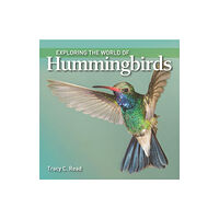 Firefly Books Ltd Exploring the World of Hummingbirds (häftad, eng)