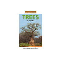 Penguin Random House South Africa Pocket Guide Trees of Zambia (häftad, eng)