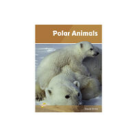 Ransom Publishing Polar Animals (häftad, eng)