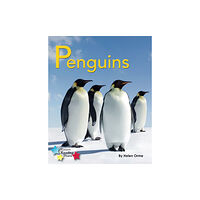 Ransom Publishing Penguins (häftad, eng)
